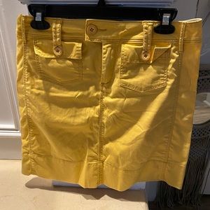 Anthropologie skirt